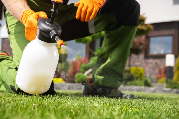 Best Ant Control Services  in Polson, MT