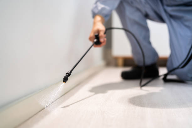 Best Flea Control Services  in Polson, MT