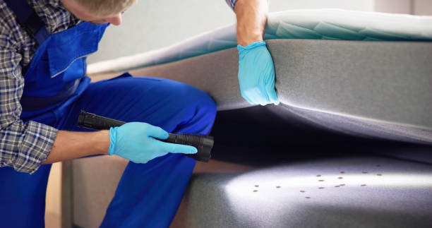 Trusted Polson, MT Pest Control Experts
