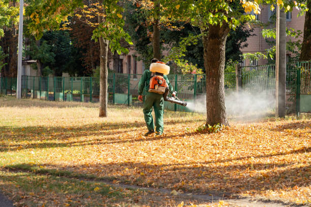 Best Ant Control Services  in Polson, MT