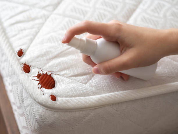 Best Affordable Pest Control Services  in Polson, MT