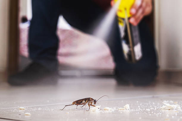 Best Pest Prevention Services  in Polson, MT