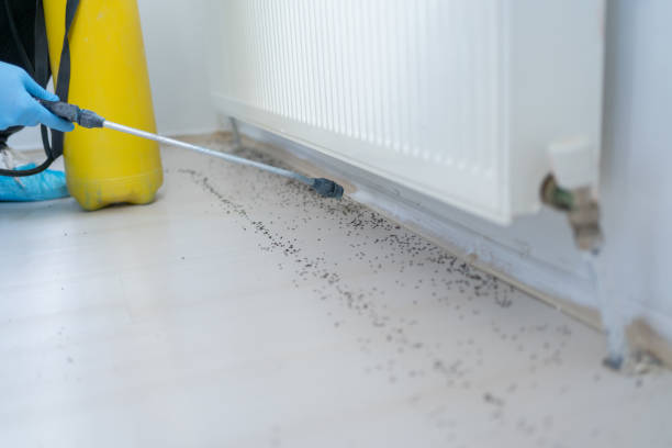Best Bed Bug Extermination  in Polson, MT