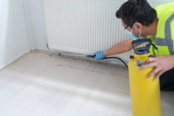 Best Commercial Pest Control Services  in Polson, MT