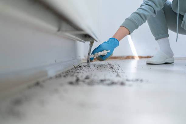 Best Exterminator Services  in Polson, MT