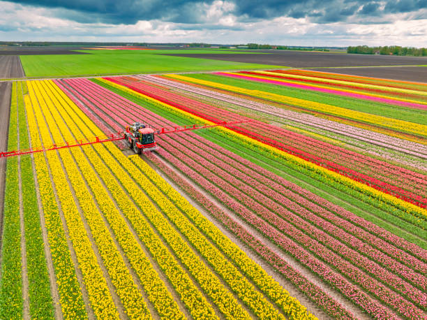 Pest Control Cost in Polson, MT