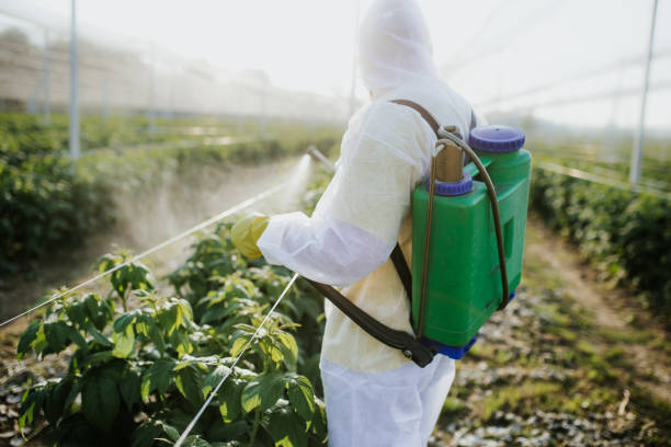 Best Residential Pest Control  in Polson, MT